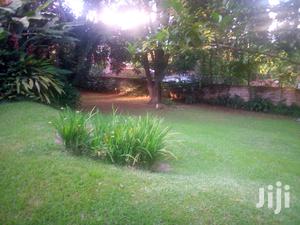 Three Bedroom Bungalow For Rent