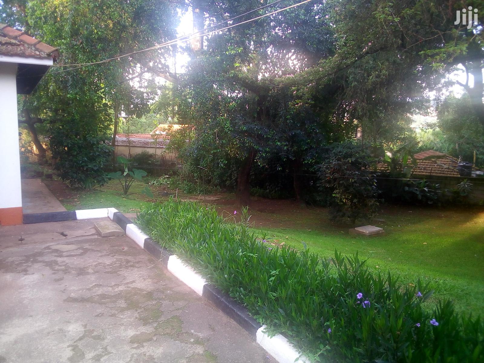Three Bedroom Bungalow For Rent