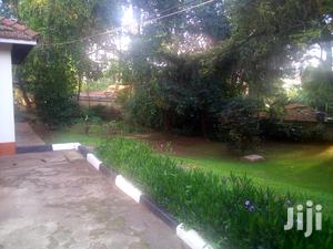Three Bedroom Bungalow For Rent