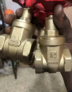 Original Pegler Gate Valves (1”)