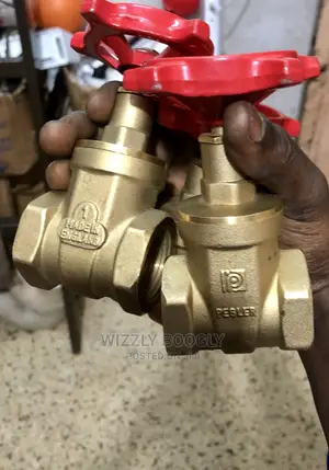 Original Pegler Gate Valves (1”)