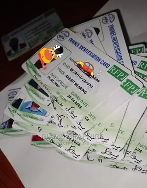 Plastic Ids in Large Numbers