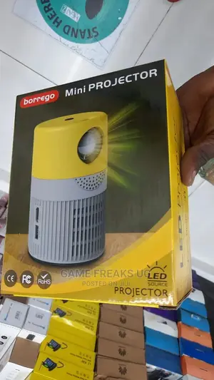 Borrego Mini Projector