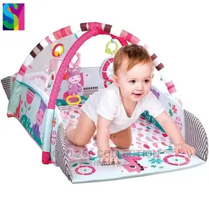 Active Play Gym