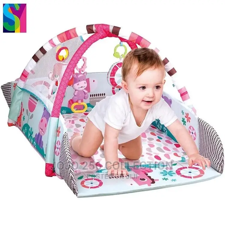 Active Play Gym