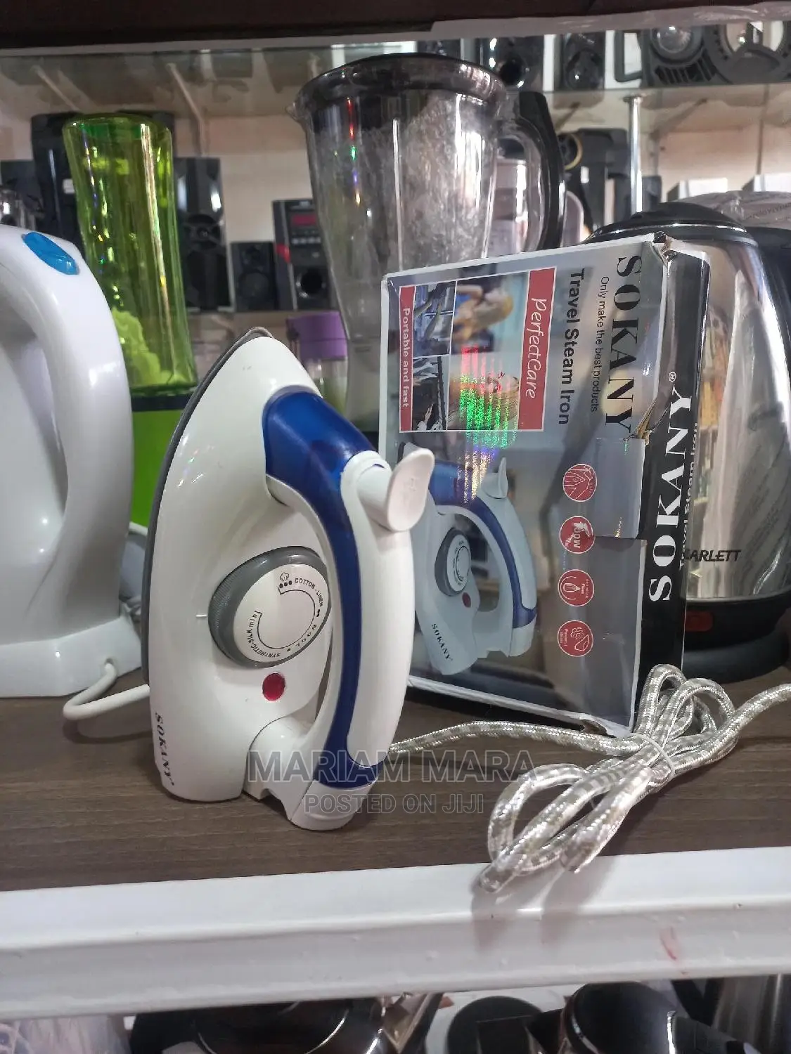 Hand Held Steam Iron