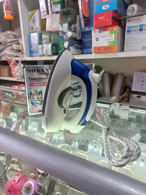 Hand Held Steam Iron