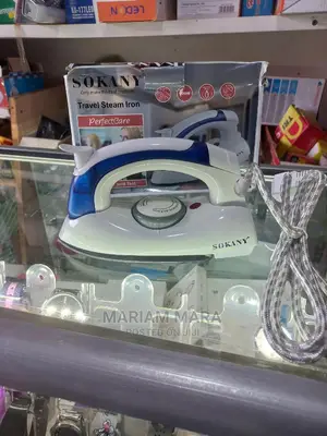 Hand Held Steam Iron