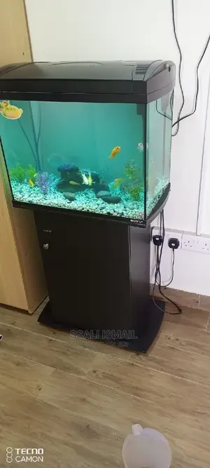 Exellently Made From Our Work Aquarium Work Shop
