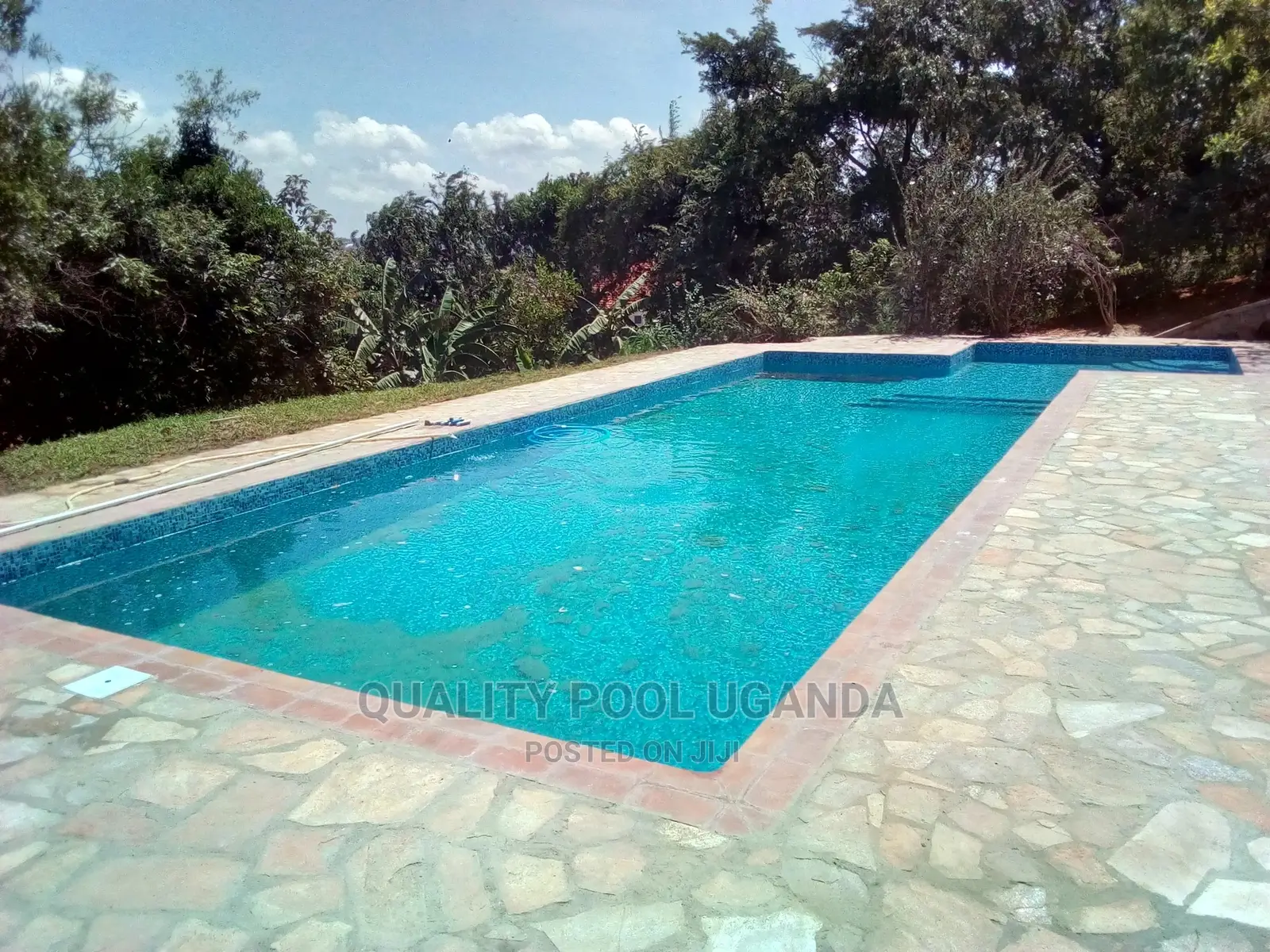 Swimming Pool Contractor