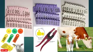 Numbered Ear Tags and Machines