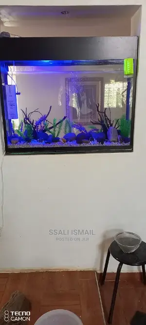 Crystal Clear in Built Aquarium