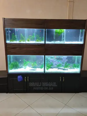 We Make Only Exellent Aquariums in All Shapes