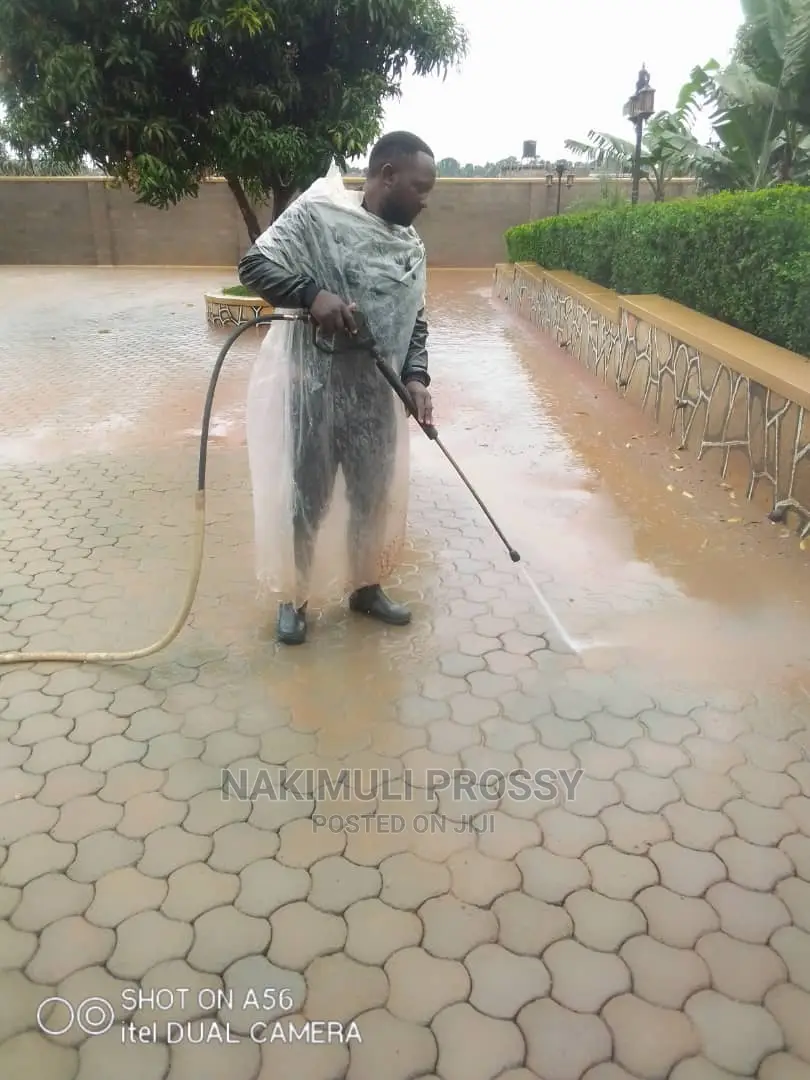 Pavers and Stones Cleaning Services