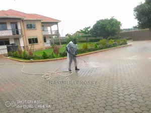Pavers Cleaning