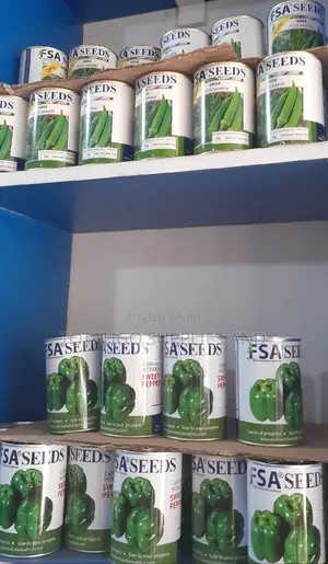 F1 Green Paper Seeds 50gm