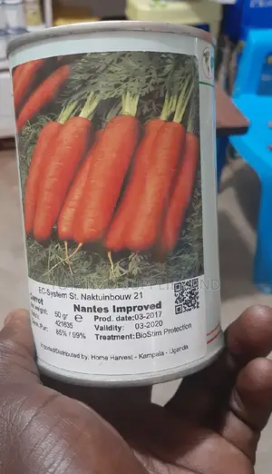 NANTES Improved Carot Seeds .