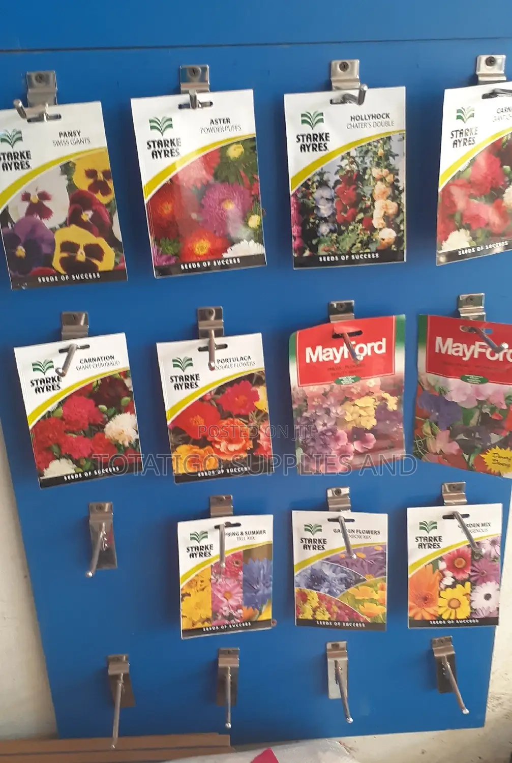 FI Flower Seeds
