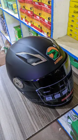 Bike Helmets (Rider's Helmet