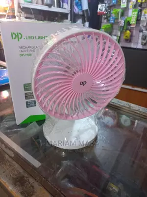 Min Fan With Dp Led Light