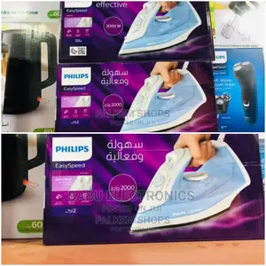 Electric Steam Flat Iron