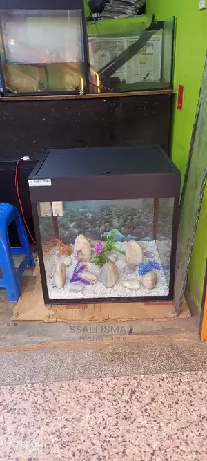 Black Aquarium From Aquarium Makers