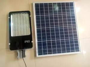 100w Solar Street Light or Solar Security W/T Separate Panel