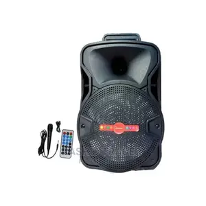 Self Amplified Double Speaker