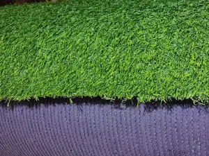 Artificial Grass