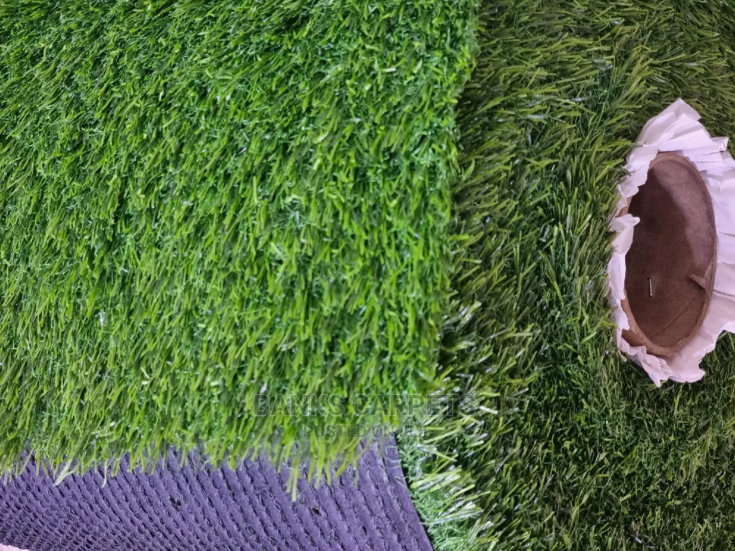 Artificial Grass