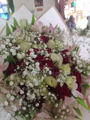 Nice and Lovely Flowers