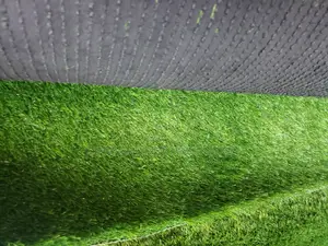 Grass Carpet/Grass Carpet/Grass Carpet