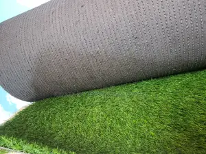 Grass Carpet/Grass Carpet/Grass Carpet