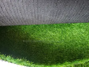 Grass Carpet/Grass Carpet/Grass Carpet