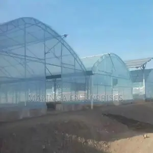 UV Stabilizd Greenhouse Roofing Polythane Sheet(11.5x35mtrs)