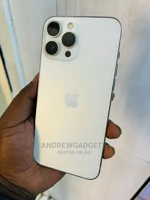 Apple iPhone 13 Pro Max 256 GB Silver