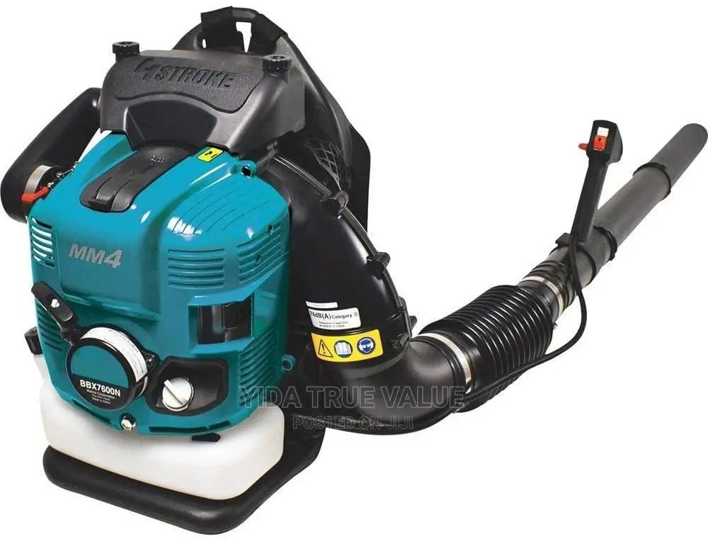 Air Blower 4 Stroke Gasoline