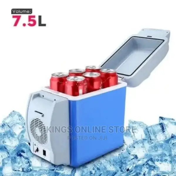 Mini Car Refrigerator.