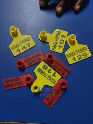 Customised Animal Tags 1