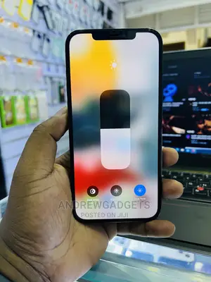 Apple iPhone 12 Pro Max 256 GB Blue