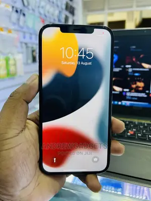Apple iPhone 12 Pro Max 256 GB Blue