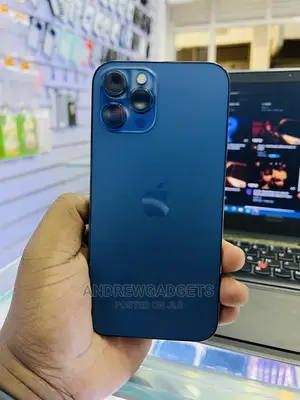 Apple iPhone 12 Pro Max 256 GB Blue