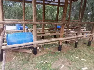 Feedlot Construction