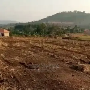 Bujjuko Town Plots at Give Away Prices With Power at Site