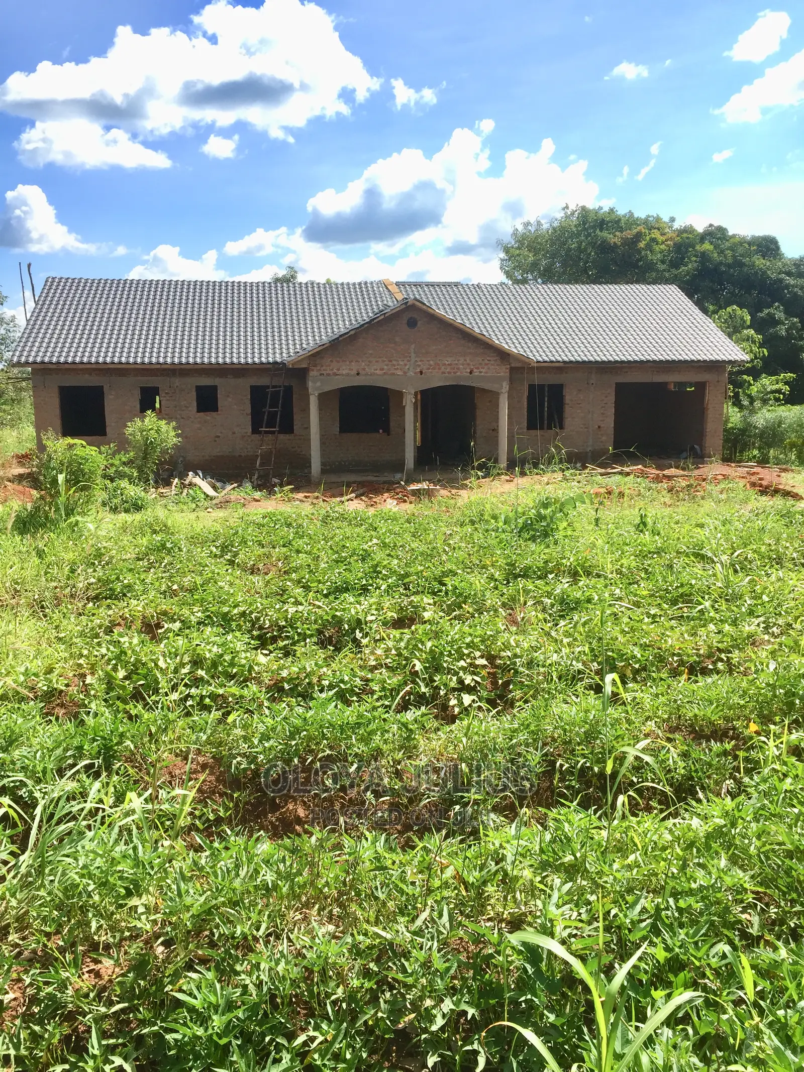 Building Construction