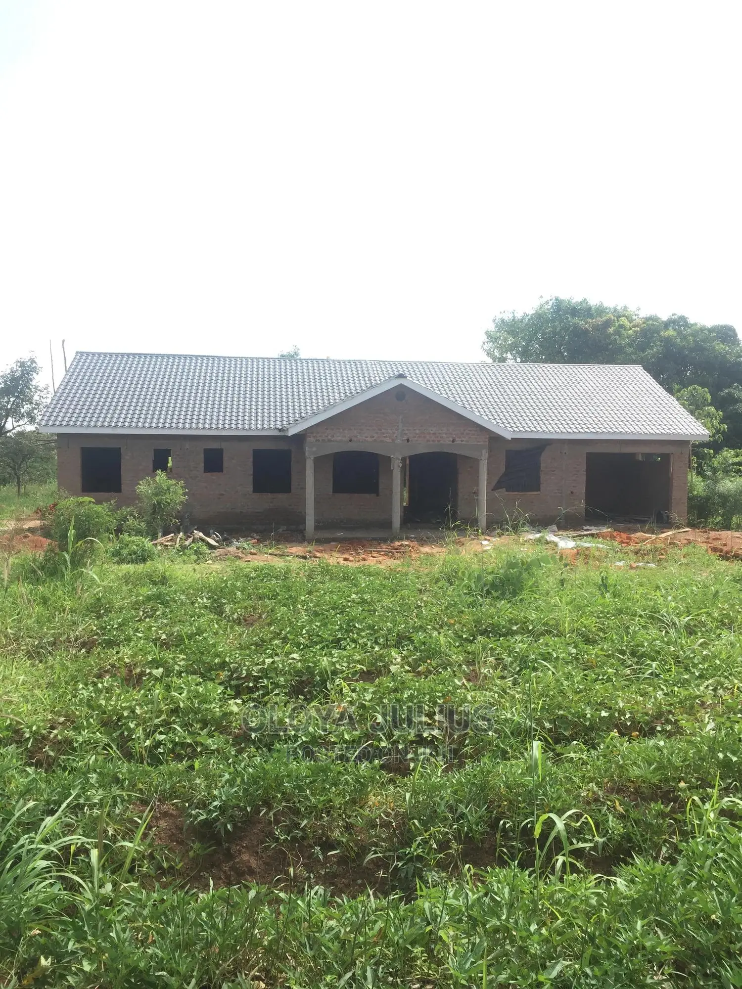 Building Construction