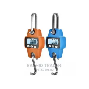 Crane Weighing Scale 300kg
