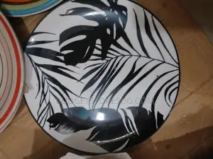 Ceramic Dinner Plates