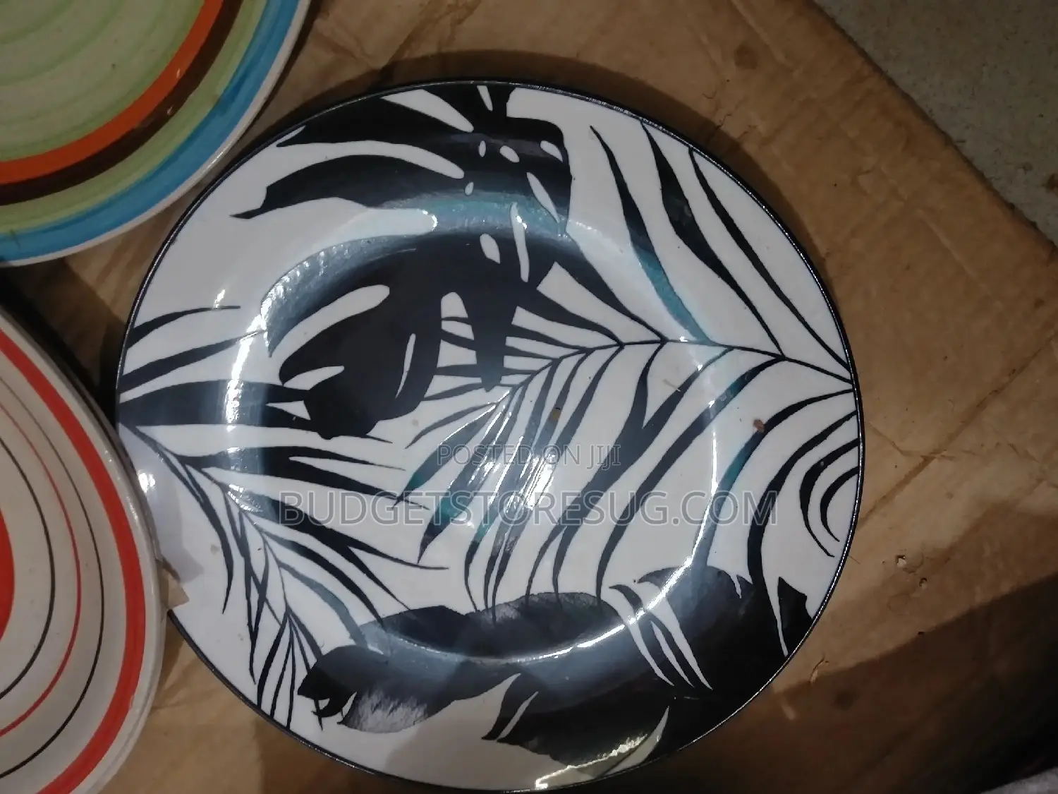 Ceramic Dinner Plates