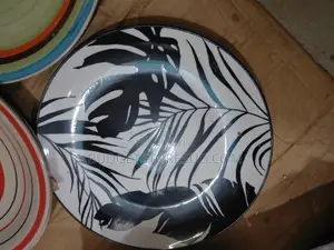 Ceramic Dinner Plates